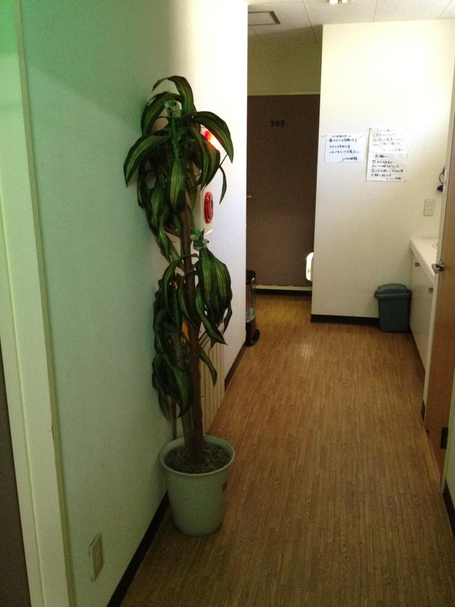 Iroha Ryokan อาโอโมริ ภายนอก รูปภาพ
